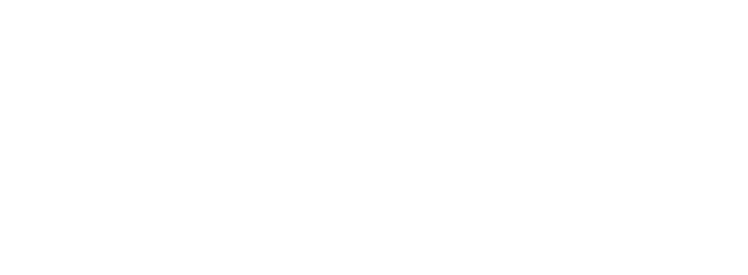 Fancyfied